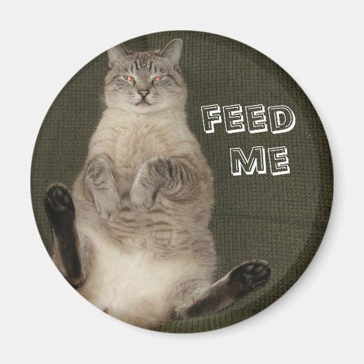Cat "FÜTTRE ME" Round Magnet (Vorne)