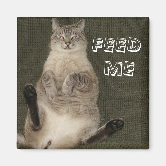 Cat "FÜTTRE ME" Square Magnet (Vorne)
