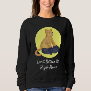Cat Gaming Video Gamer Schmutz mich nicht gleich Sweatshirt