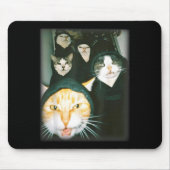 Cat Gang Meme Funny Chaotic Cats Unhinged Feline H Mousepad (Vorne)