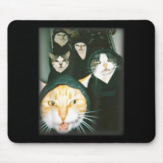 Cat Gang Meme Funny Chaotic Cats Unhinged Feline H Mousepad (Vorne)