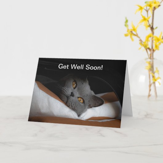 Cat Get Well Balon Customizable Karte (Gelbe Blume)