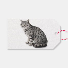 Cat Gift Tag Geschenkanhänger