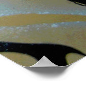 Cat Girl Night Poster (Ecke)