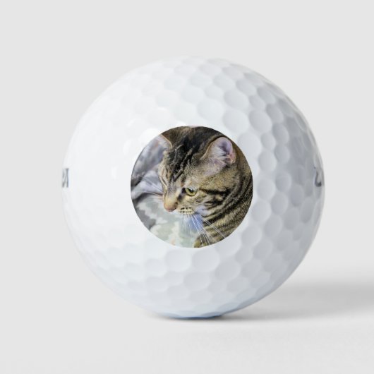 Cat Golf Ball (Vorderseite)