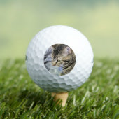 Cat Golf Ball (Insitu T-Shirt)