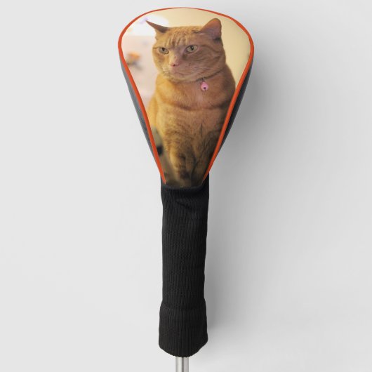 Cat Golf Head Cover Headcover (Vorderseite)