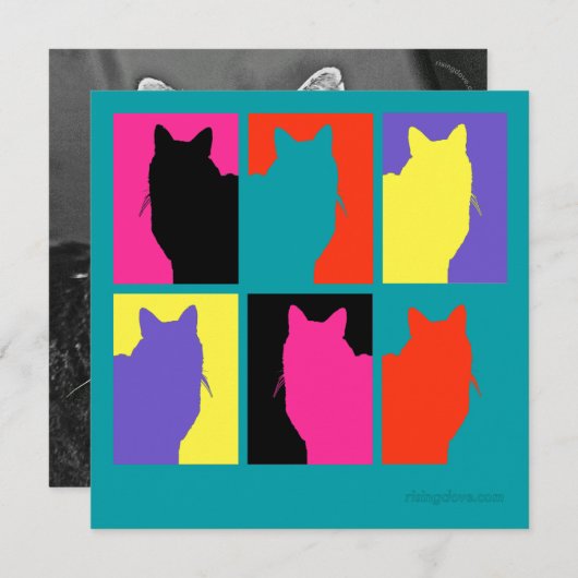 Cat Graphics von Miriam Kilmer, risingdove.com (Vorne/Hinten)