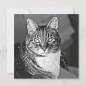 Cat Graphics von Miriam Kilmer, risingdove.com (Rückseite)