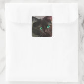 Cat Green Eyes Quadratischer Aufkleber (Tasche)