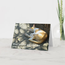 Cat Greetings Card - Was für ein größeres Geschenk