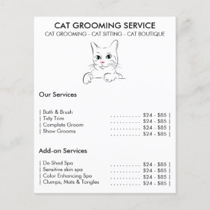 Cat Grooming Service modern Flyer