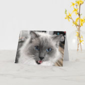 Cat Grußkarte Karte (Gelbe Blume)