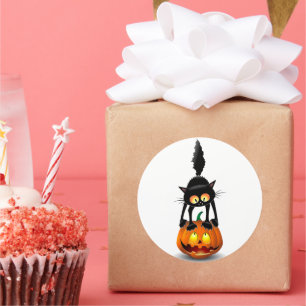 Cat Halloween erschreckter Cartoon auf Kürbiskröte Runder Aufkleber