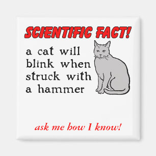 Cat Hammer Funny Magnet Spaß