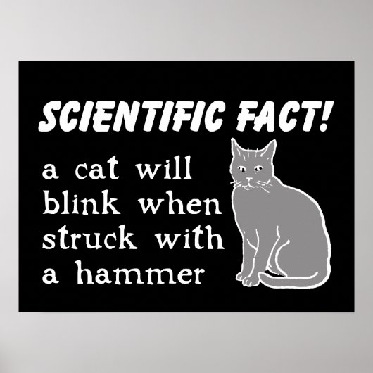 Cat Hammer Funny Print Poster Spaß (Vorne)