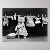Cat Hanging Wäsche auf Wäscheleine Poster (Vorne)