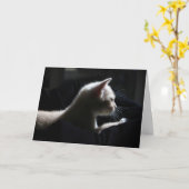 Cat Happy Birthday Card Karte (Gelbe Blume)