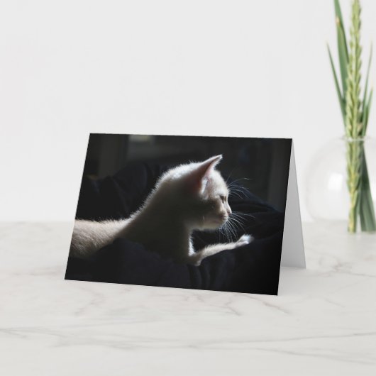 Cat Happy Birthday Card Karte (Vorderseite)