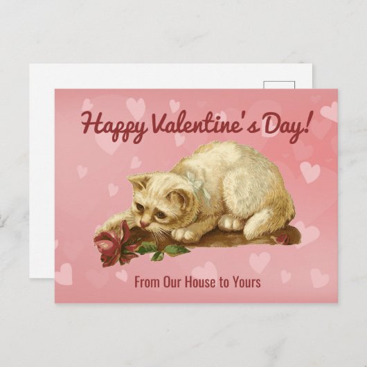 Cat Happy Valentine's Day Post Card Postkarte (Vorne/Hinten)