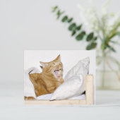 Cat hasst Morgens Postkarte (Stehend Vorderseite)