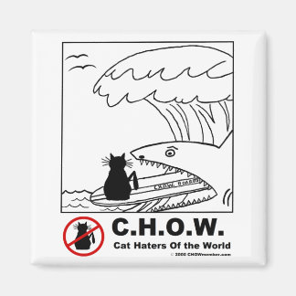 Cat Haters Surfmagnet Magnet