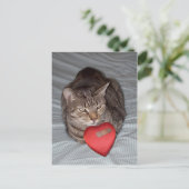 Cat Heart Bandaid Postkarte (Stehend Vorderseite)