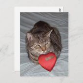 Cat Heart Bandaid Postkarte (Vorne/Hinten)