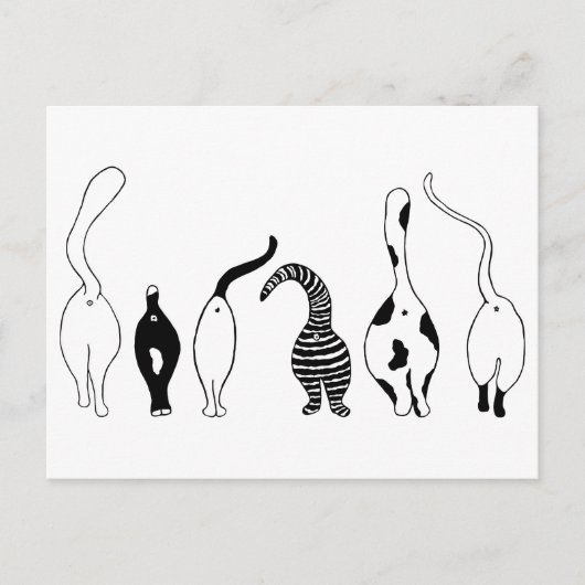 Cat-Hintern Postkarte (Vorderseite)