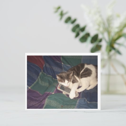 Cat-Hogging remote Postkarte (Stehend Vorderseite)