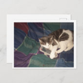 Cat-Hogging remote Postkarte (Vorne/Hinten)