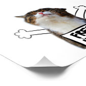 Cat Holding Free Hugs-Zeichen Fotodruck (Ecke)