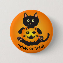 Cat Holding Jack-o' Lantern
