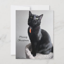 Cat Holiday Card Mitteilungskarte