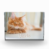 Cat Horizontal Foto Name des Niedlichen Schriftart (Vorderseite)