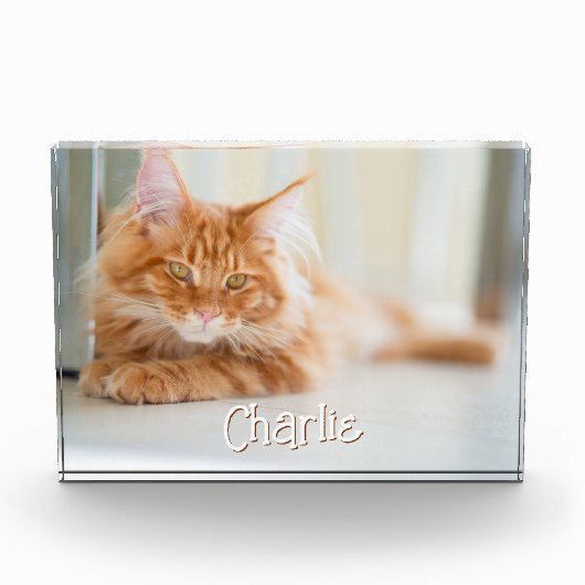 Cat Horizontal Foto Name des Niedlichen Schriftart (Vorderseite)