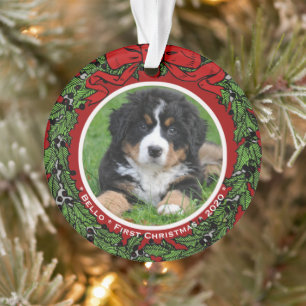 Cat Hund Foto Erste Weihnachtsbeeren Ornament