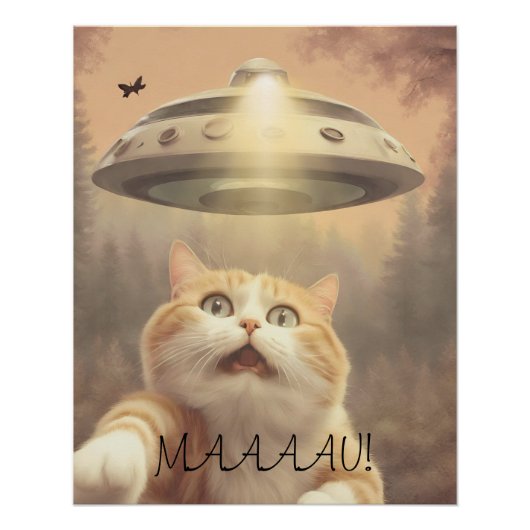 Cat I Believe UFO Wall Poster Art (Vorderseite)