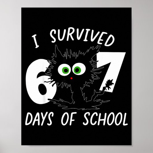 Cat I Survived 67 Days Of School Teachers Students Poster (Vorne)