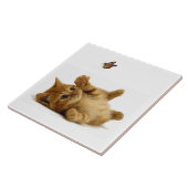 Cat Image for Large (6" x 6") Keramik Foto Tile Fliese (Seite)