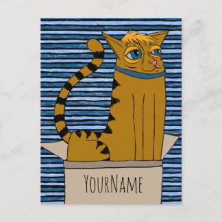 Cat in a Cardboard Box Cartoon Drawing Postkarte