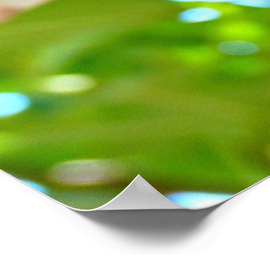 Cat in a Tree  Poster (Ecke)