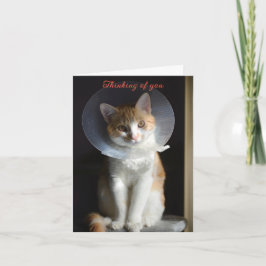 Cat in Cone Denken Sie an Sie, Cat Get well soon Karte