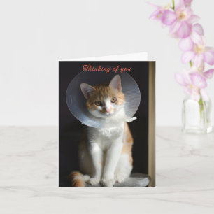 Cat in Cone Denken Sie an Sie, Cat Get well soon Karte