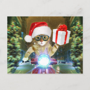 Cat in the Santa Claus hat delivers Christmas gift Postkarte