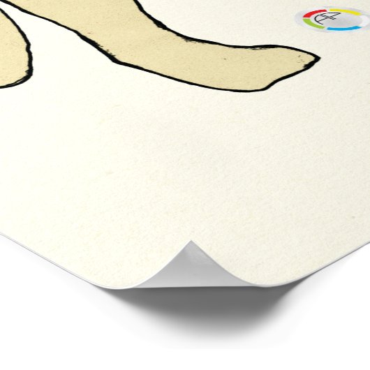 Cat Internal Digestive Anatomy Veterinary Chart Poster (Ecke)