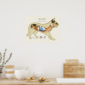 Cat Internal Digestive Anatomy Veterinary Chart Poster (Küche)