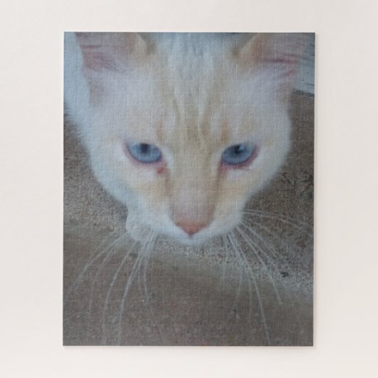 Cat Jigsaw Puzzle (Vertikal)
