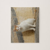Cat Jigsaw Puzzle (Vertikal)