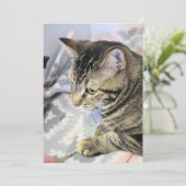 Cat Jigsaw Puzzle Postcard Karte (Stehend Vorderseite)